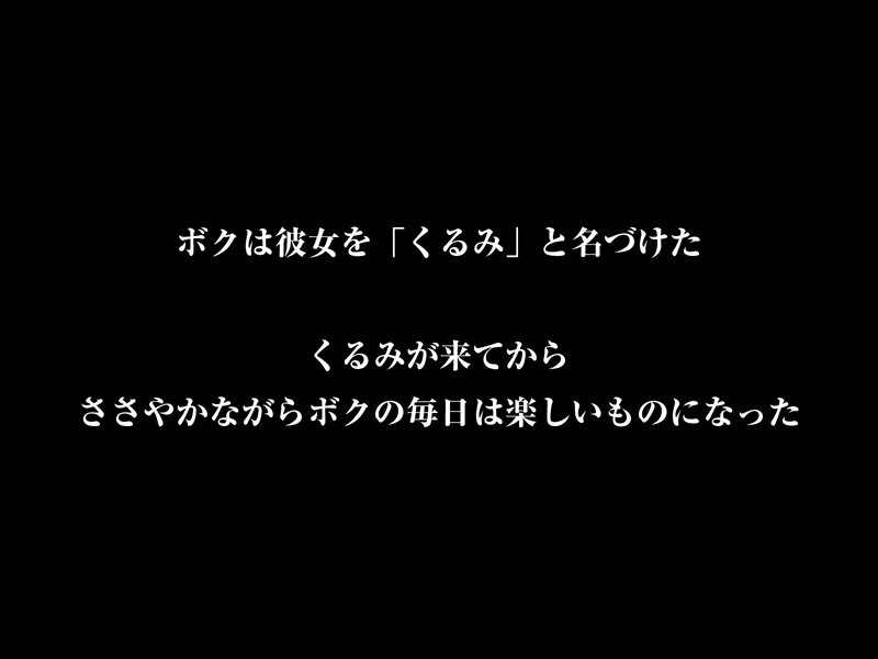 【VR】【8KVR】DOLL 性処理専用愛玩人形 夢なら夢のままでいて欲しい…独りよがりなボクと無抵抗なさくらの夢のような日常 胡桃さくら crvr00379