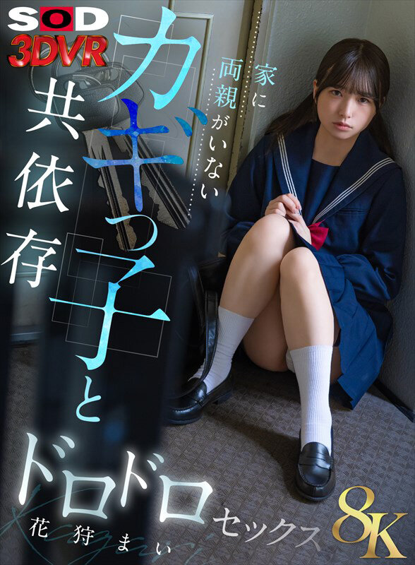 【VR】【8K】家に両親がいないカギっ子と共依存ドロドロセックス 花狩まい 13dsvr01832